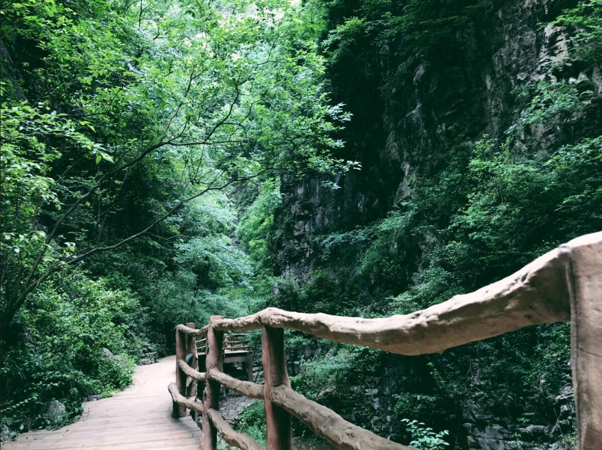 峽谷景觀