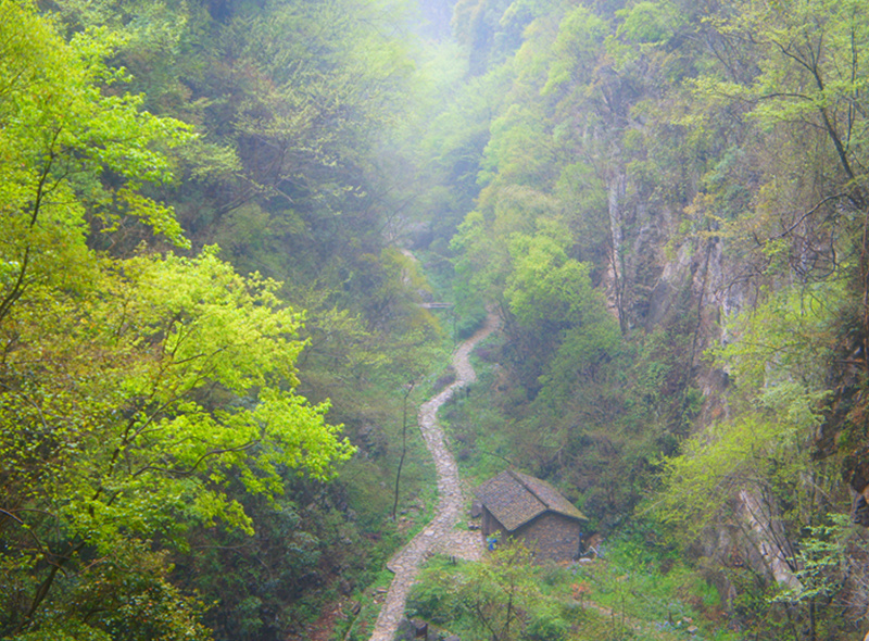 峽谷風光