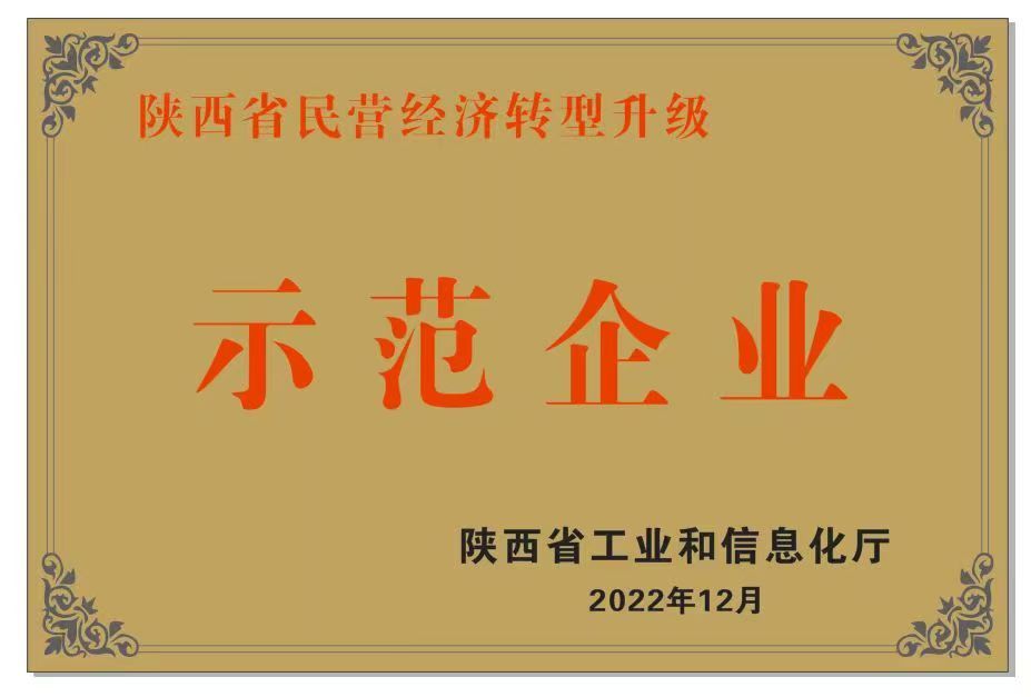 陕西省民营经济转型升级示范企业