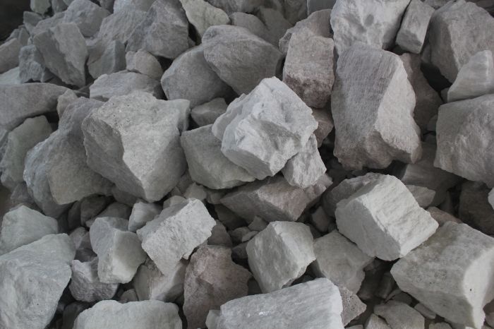 Plant Equipment