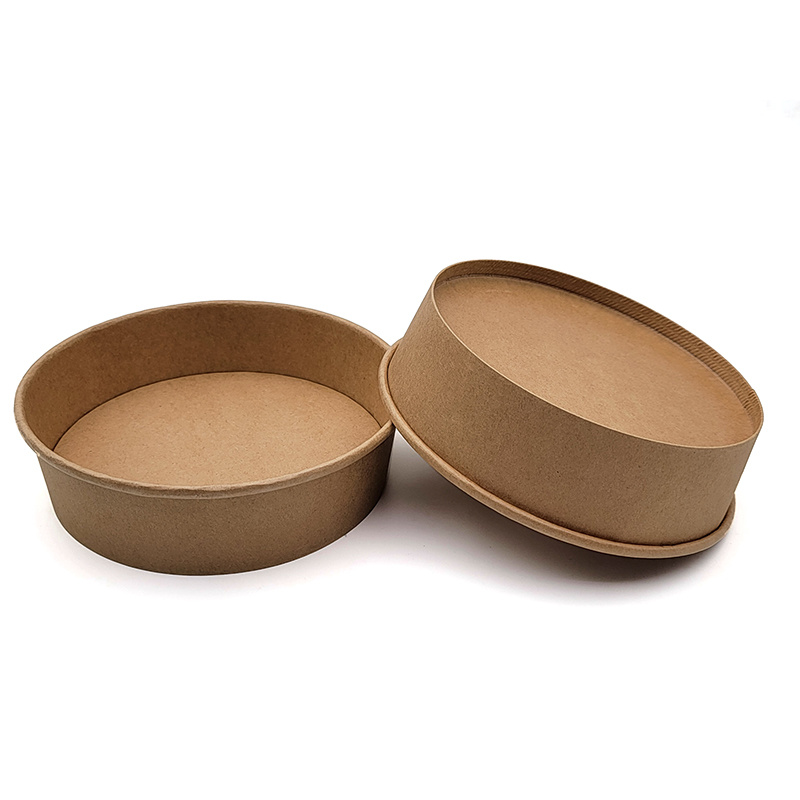 Disposable paper lunch box