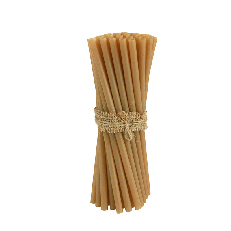 Sugarcane PLA straw