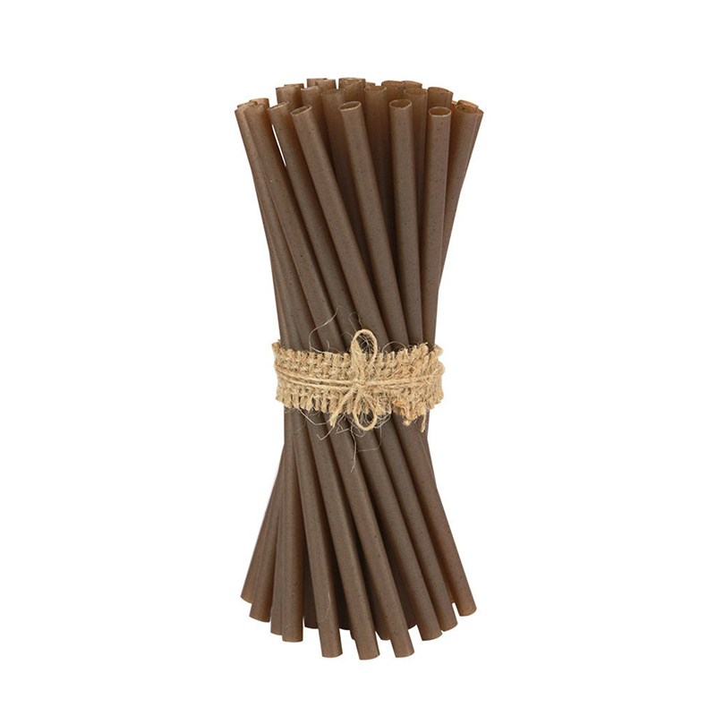 Coffee grounds PLA straw