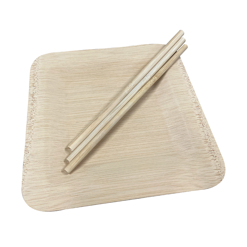 230-Bamboo Disposable Square Plate