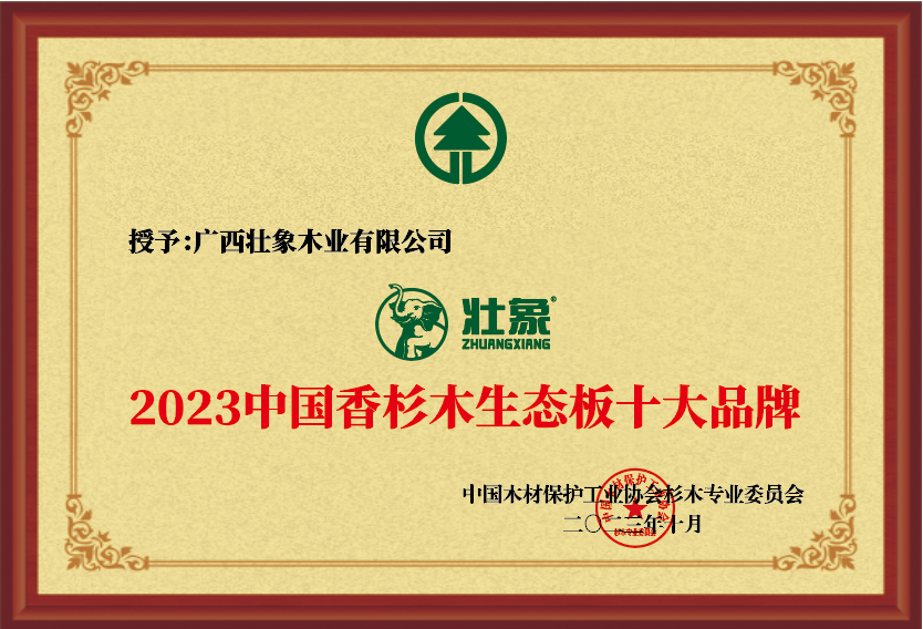 2023涓浗棣欐潐鏈ㄧ敓鎬佹澘鍗佸ぇ鍝佺墝