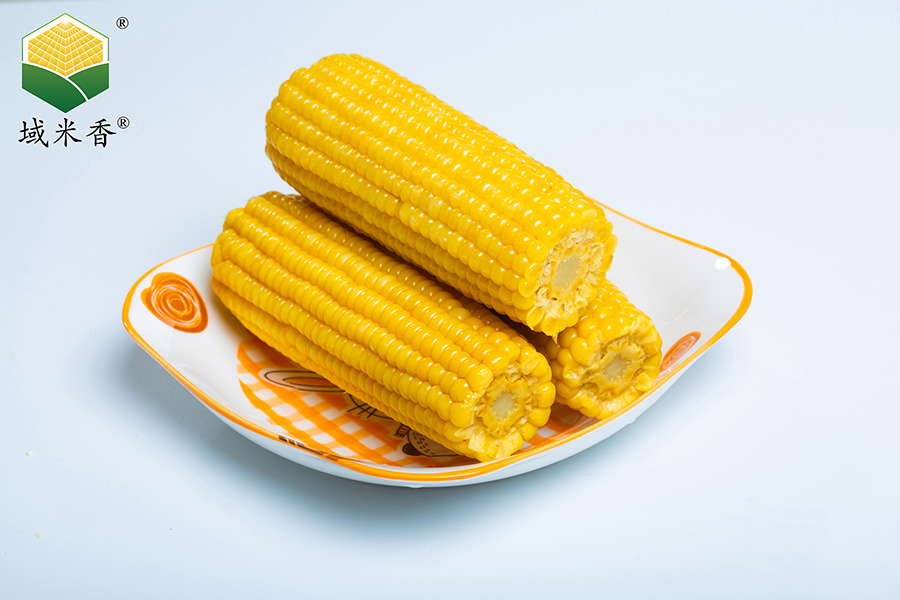 黃糯玉米