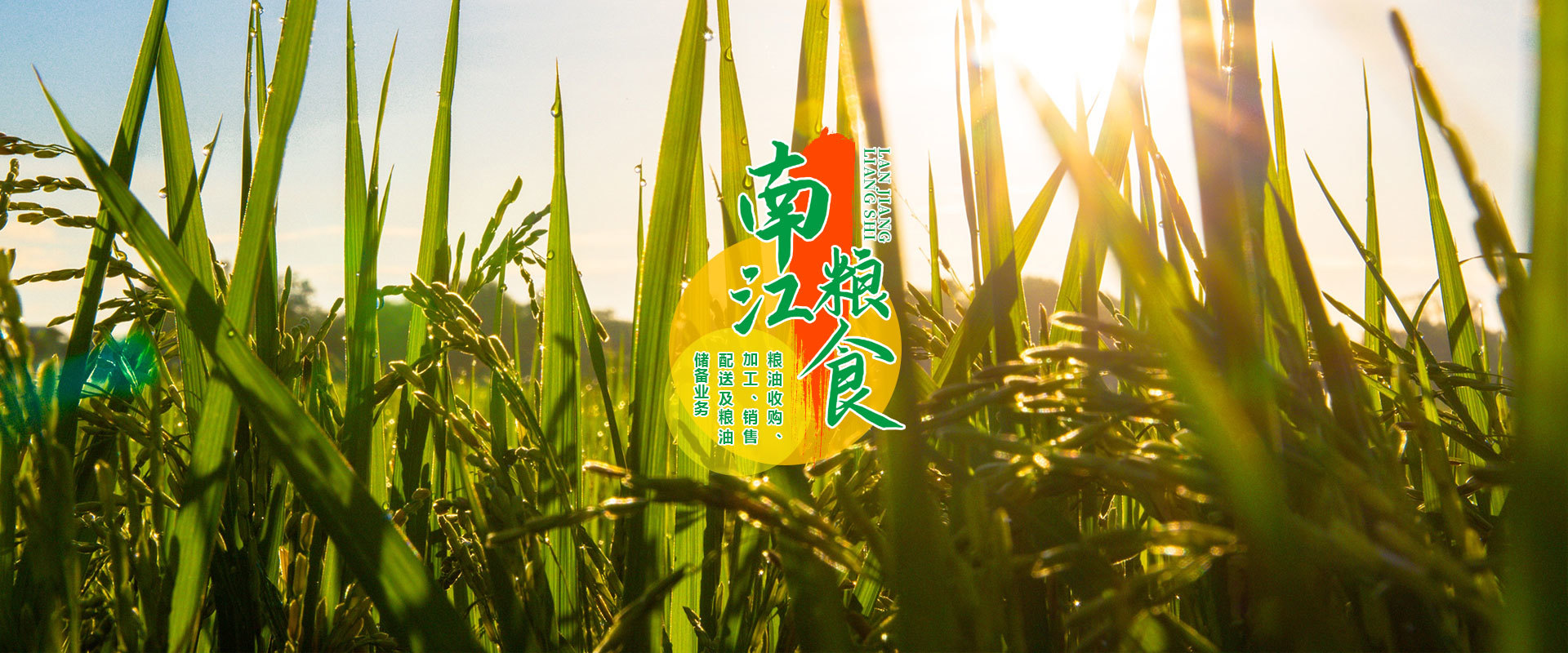 南江糧食