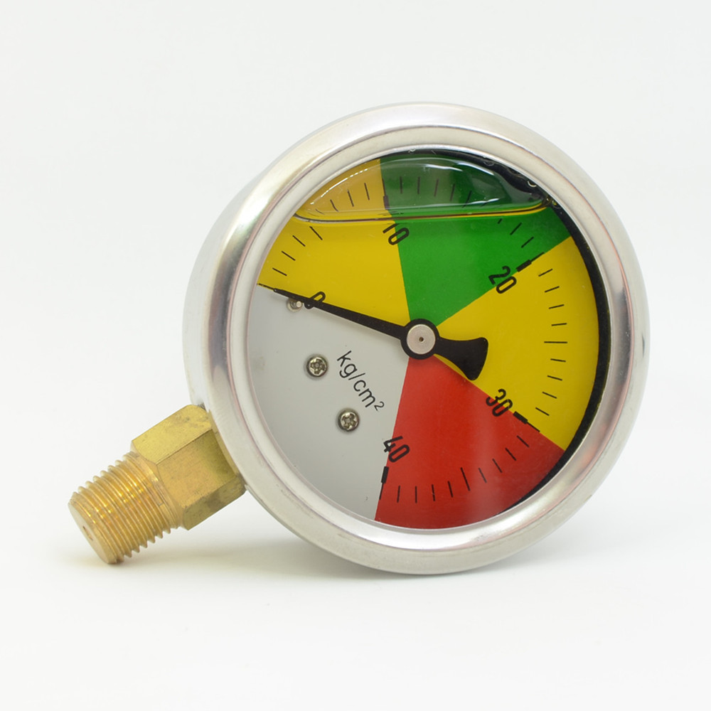 Shockproof pressure gauge
