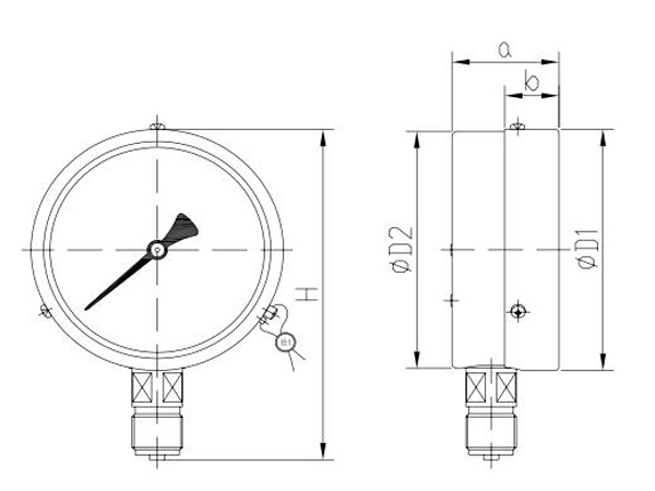 General pressure gauge Y60-200