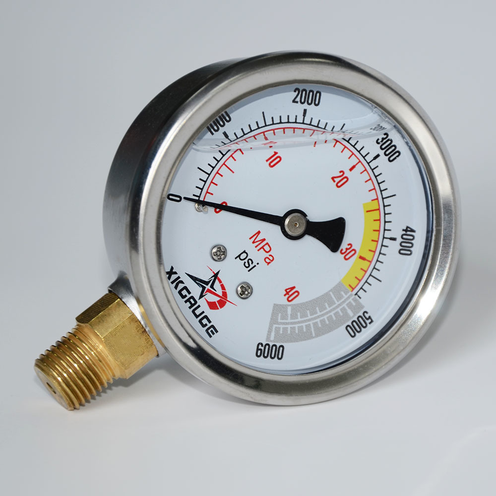 Economical Shockproof Pressure Gauge