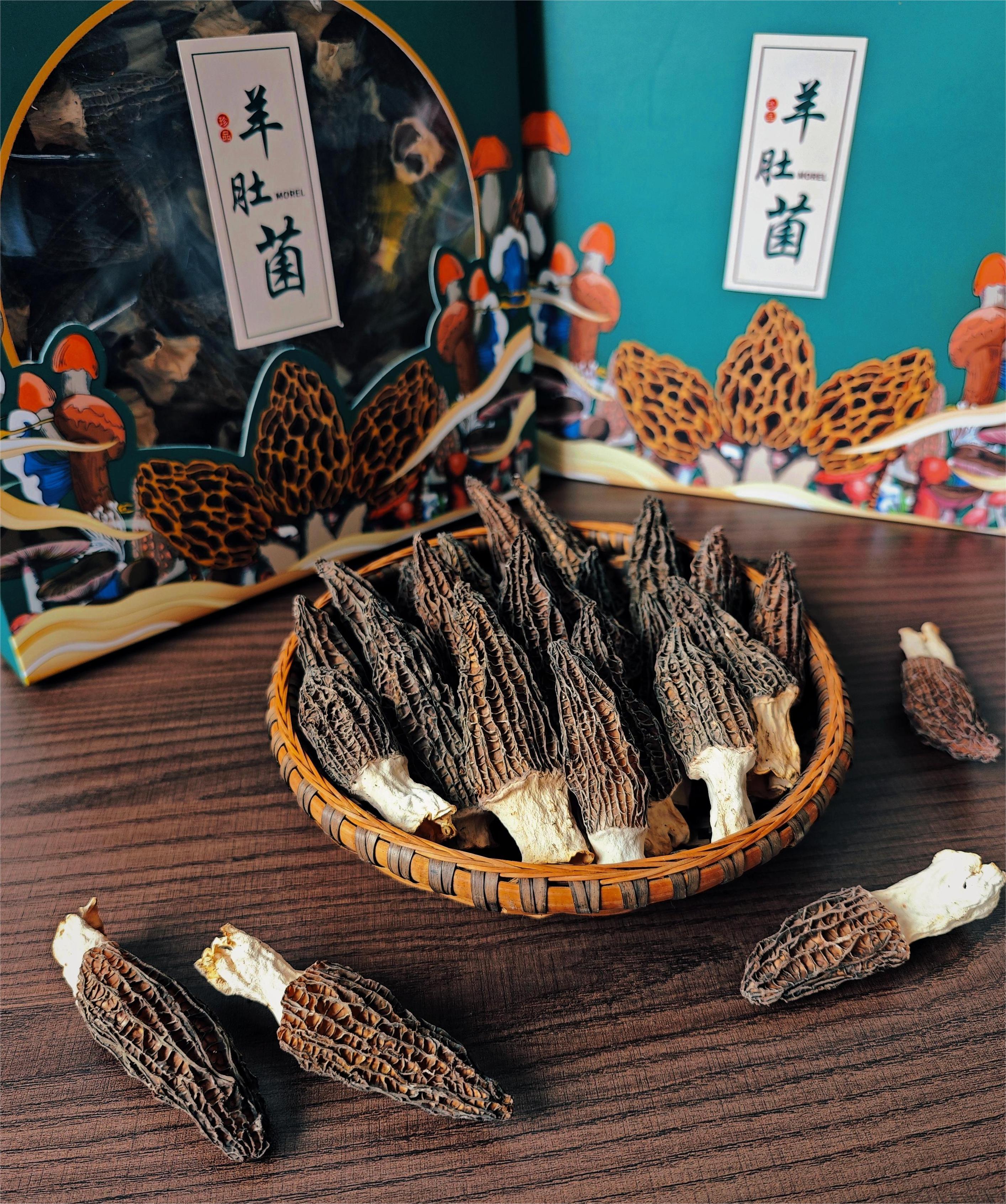 干羊肚菌（禮盒）
