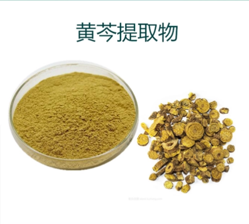 黃芩提取物Huangqin extract