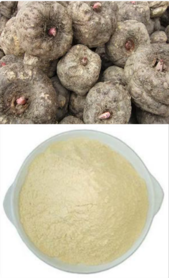 富硒魔芋提取物Konjac Extract