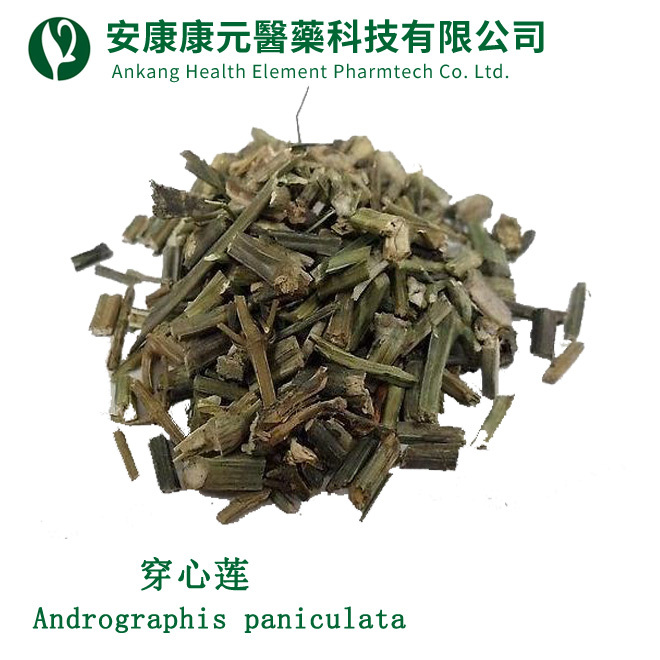 穿心蓮(Andrographis paniculata)