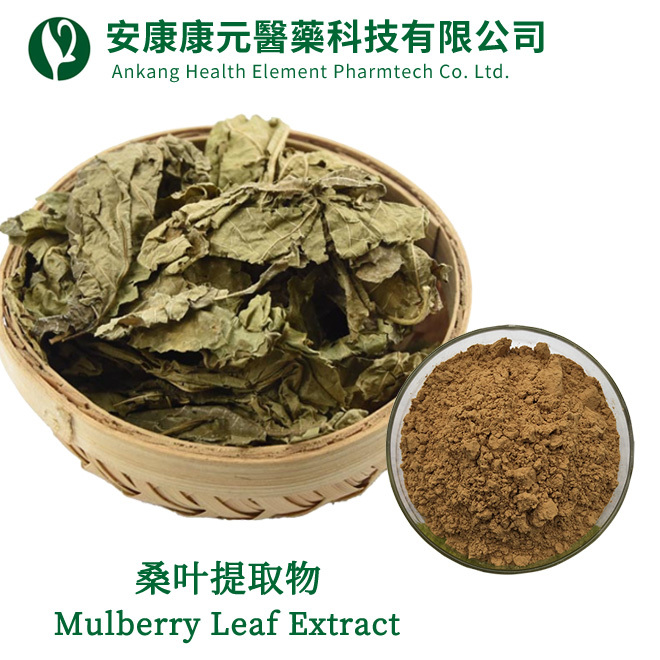 桑叶提取物（Mulberry Leaf Extract）