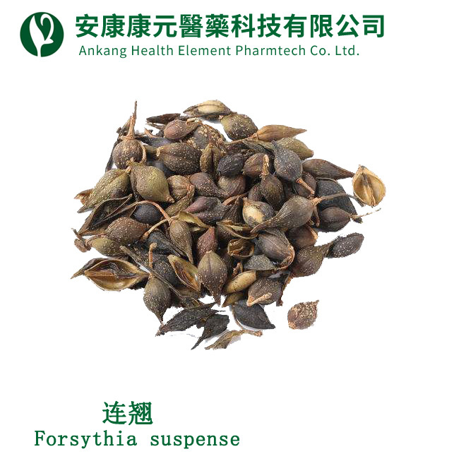 連翹(Forsythia suspensia)