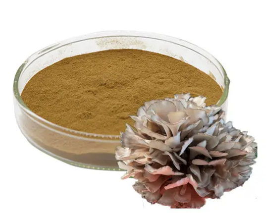 灰樹(shù)花提取物Maitake Mushroom Extract