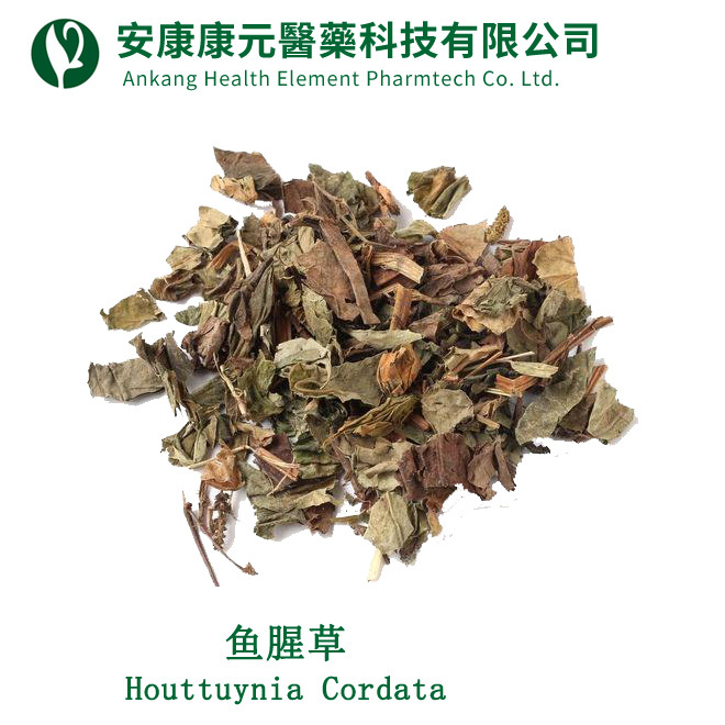 魚腥草(Houttuynia cordata)