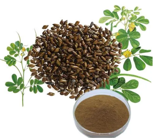 決明子提取物Cassia Seed Extract