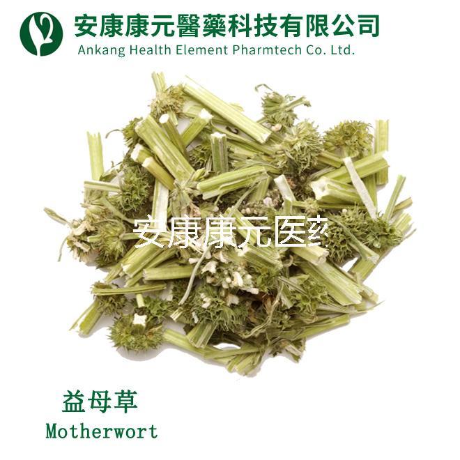 益母草(Leonurus Japanese)