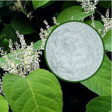 白藜蘆醇Resveratrol