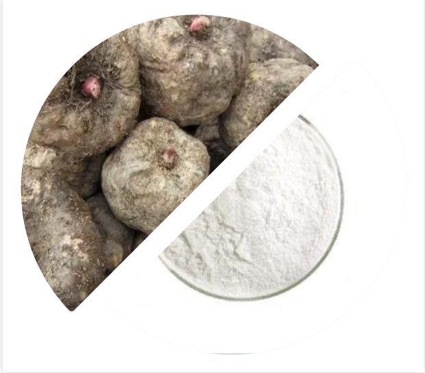 魔芋粉Konjac powder