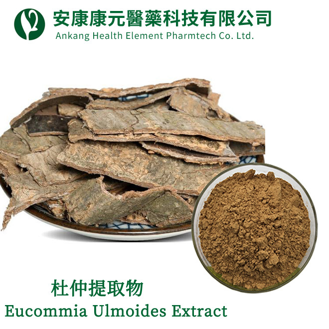 杜仲提取物（Eucommia ulmoides extract）