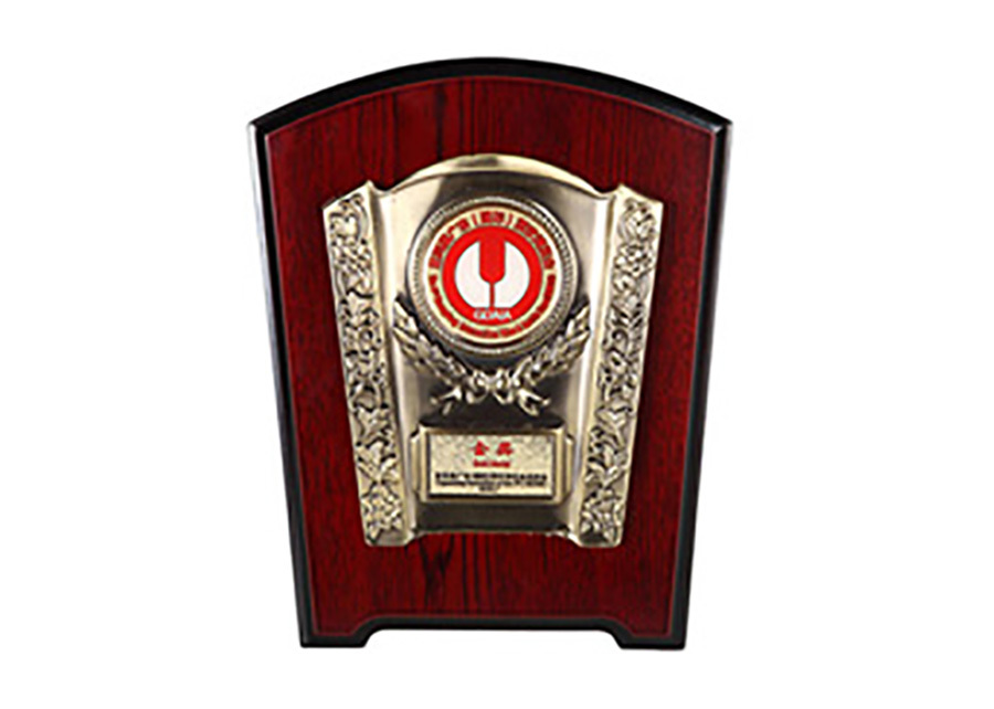 獎(jiǎng)牌 獎(jiǎng)牌