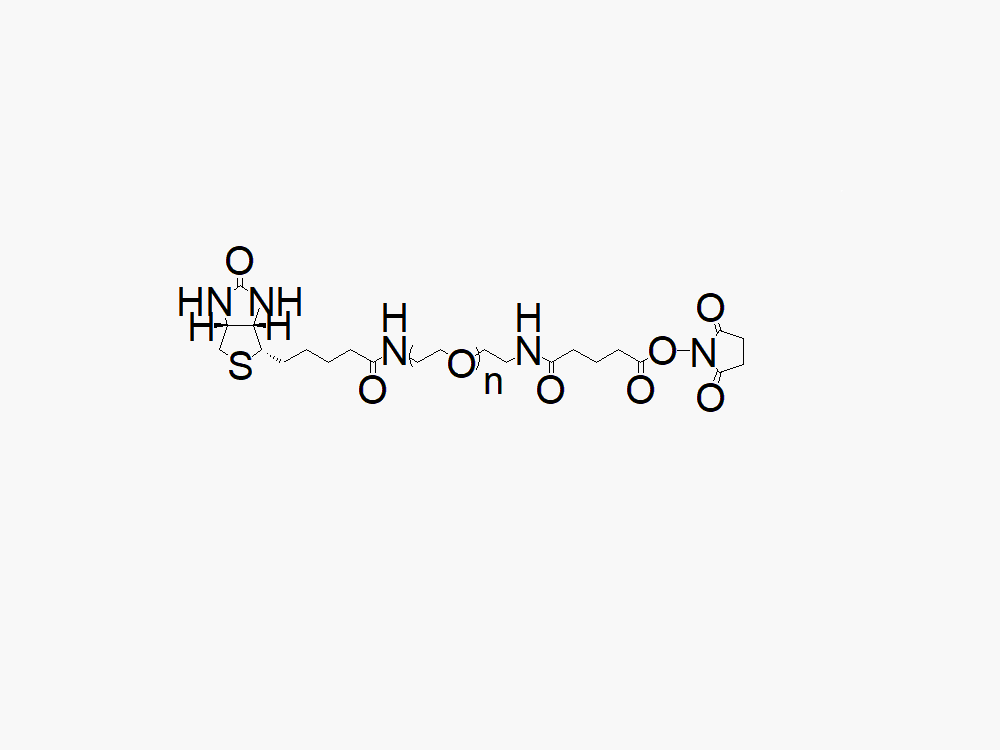 Biotin PEG Succinimidyl Glutaramide