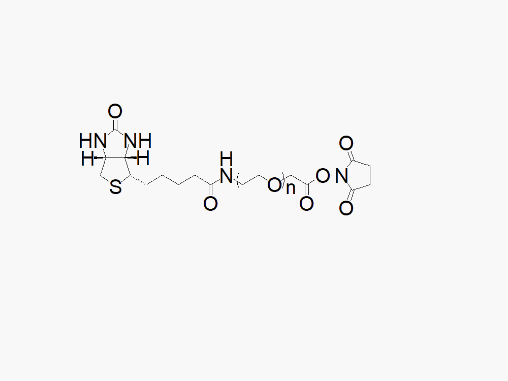 Biotin PEG Succinimidyl Carboxymethyl Ester