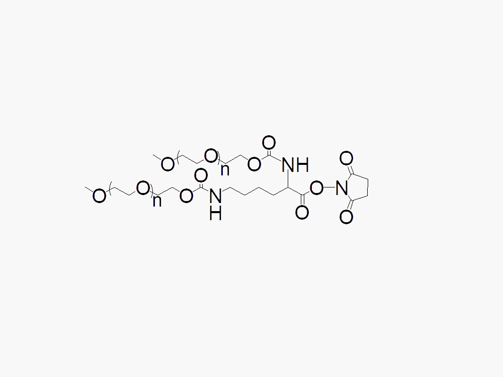 MPEG2 NHS Ester