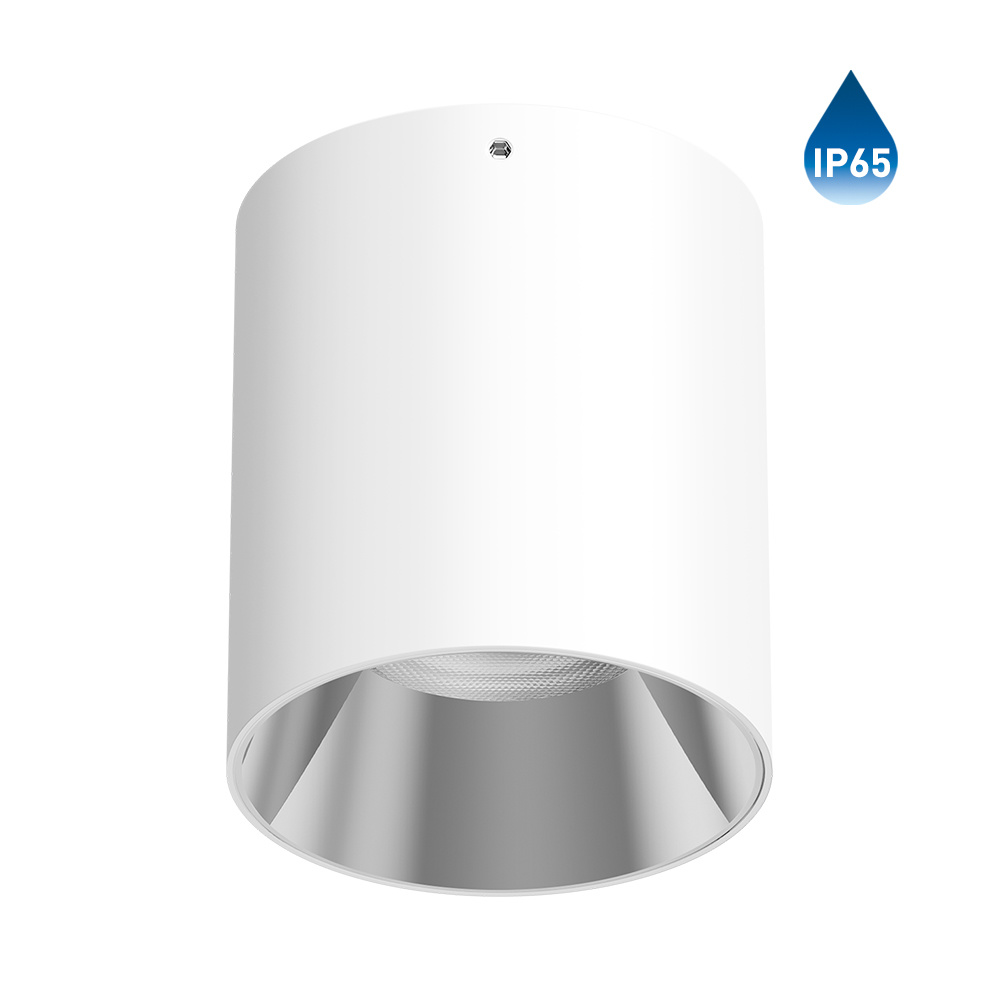 LC1358R-002 75W SURFACE MOUNT DOWN LIGHT