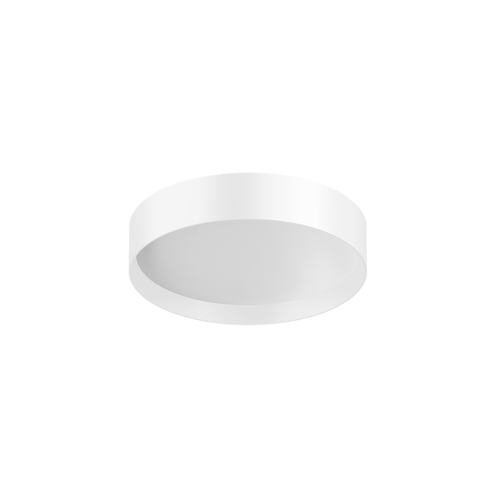 LC1035R-001 20W SURFACE MOUNTED DOWN LIGHT