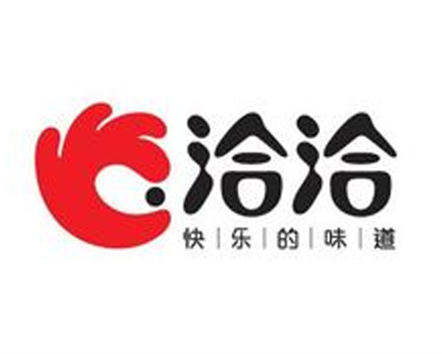 洽洽食品 洽洽食品