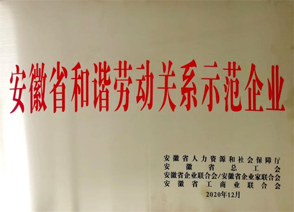 我司荣获“安徽省和谐劳动关系示范企业”、“安庆市2020年劳动保障诚信评价A级企业” 称号