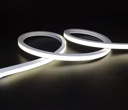 LED Neon Light