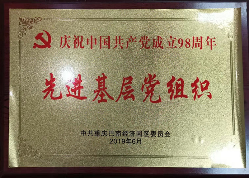Advanced grassroots party organizations