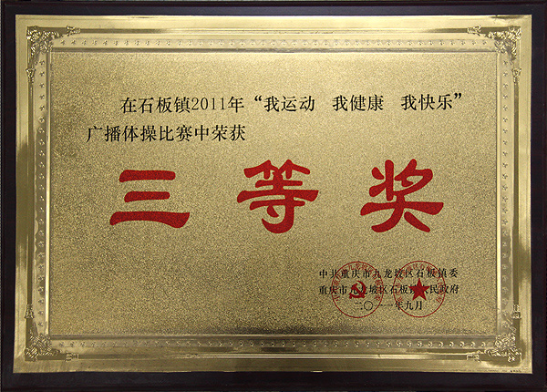 In 2011, he won the third prize In 2011, he won the third prize