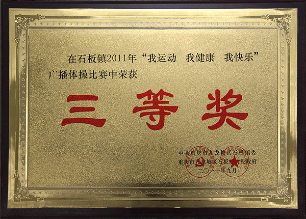 2011年荣获三等奖