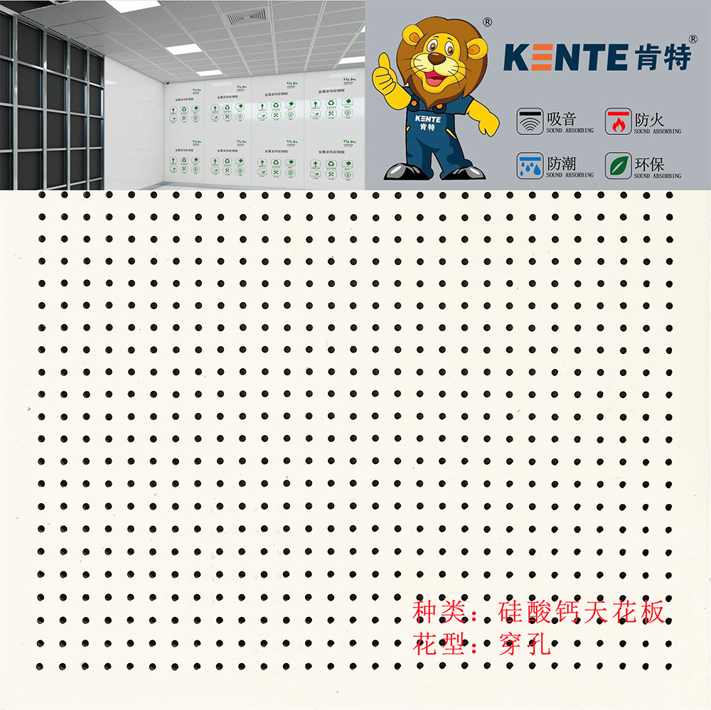 Perforated holes Calcium Silicate Ceiling tile