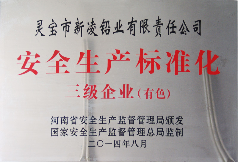Third Level Enterprise for Safety Production Standardization Third Level Enterprise for Safety Production Standardization