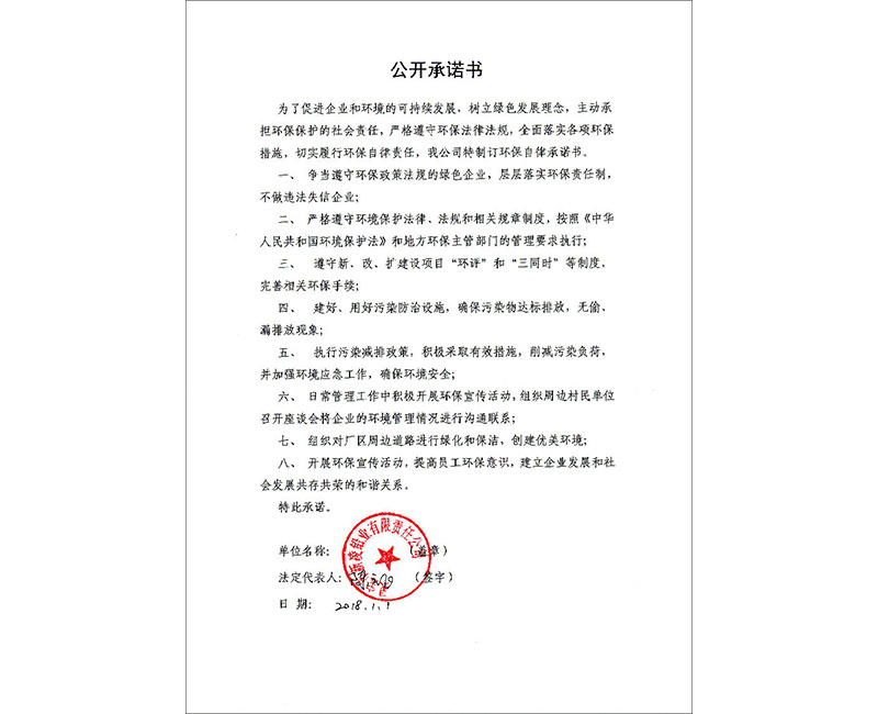 2018年新凌铅业公开承诺书