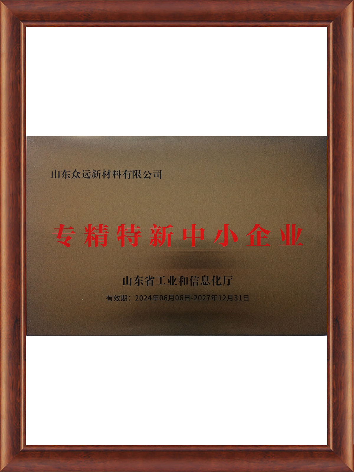 專(zhuān)精特新中小企業(yè) 專(zhuān)精特新中小企業(yè)
