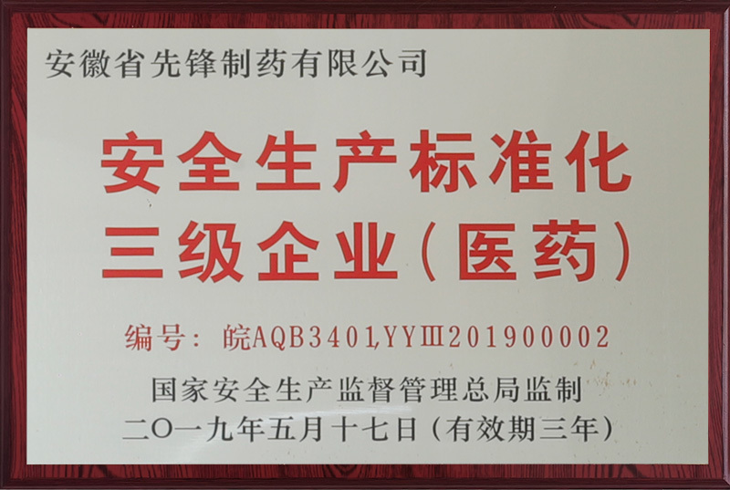 Safety Production Standardization Level 3 Enterprise Safety Production Standardization Level 3 Enterprise