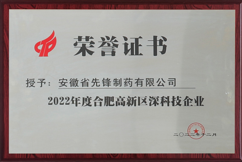 2022 Hefei High-tech Zone Deep Technology Enterprise 2022 Hefei High-tech Zone Deep Technology Enterprise