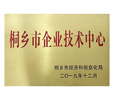 2019年桐鄉(xiāng)市企業(yè)技術中心