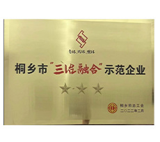 桐鄉(xiāng)市“三治融合”示范單位