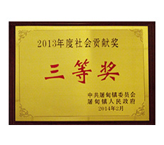 2013年度社會貢獻獎