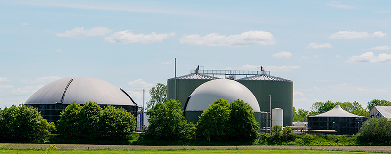 Bioenergy