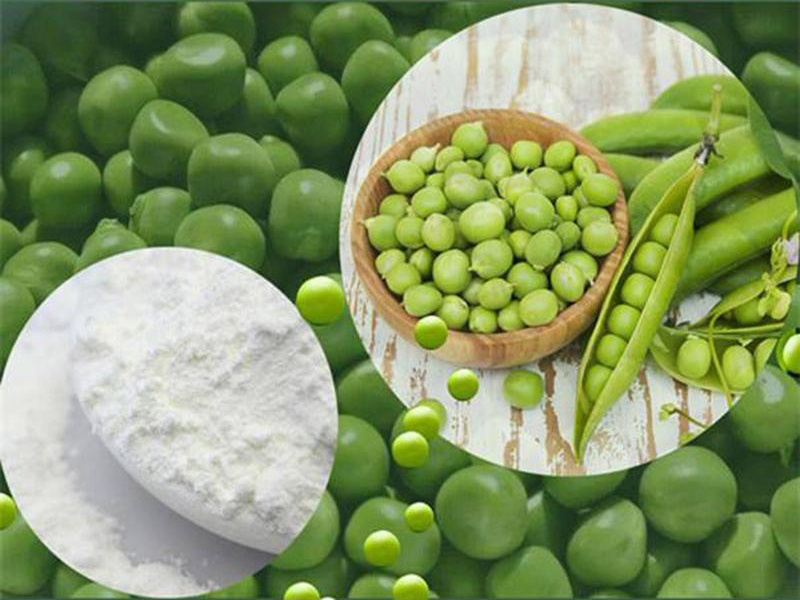 Pea Starch Processing
